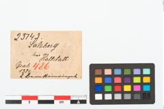 Etikett zu Bernsteinringperle (NHMW-PRAE-025143)
